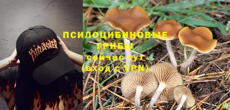 Галлюциногенные грибы Magic Shrooms  ссылка на мегу онион  Лукоянов 